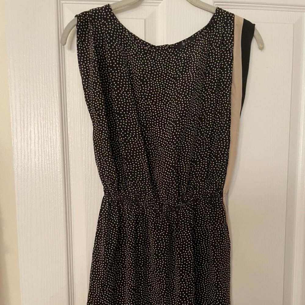 Polka Dot Dress